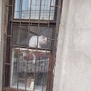 ���� A, ������-��-����, 42 ���� - ��������� 31 ���� 2020 � ������ ���� ����������