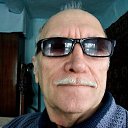 ���� ��������, ����������, 79 ��� - ��������� 1 ������� 2020 � ������ ���� ����������