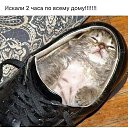���� Cristalic, ����������� - ��������� 28 ��� 2020 � ������ ������ ��������