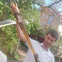 ���� �������, ���������, 47 ��� - ��������� 7 ���� 2020 � ������ ���� ����������