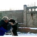 ���� ��������, ������ - ��������� 17 ������� 2020