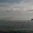 ,, ,-,08.03.20.16.50.    2020