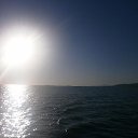 ���� ������, ������, 52 ���� - ��������� 31 ������ 2020 � ������ ���� ����������
