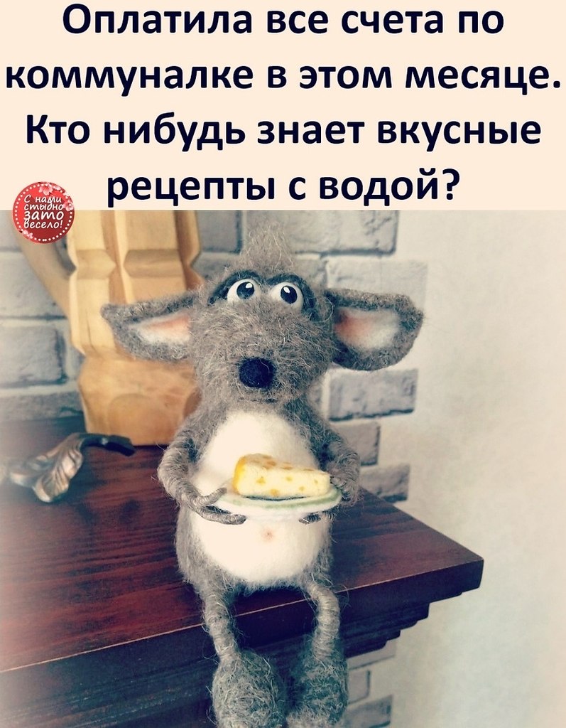 Кто нибудь знает стоп слово. Рецепт с водой прикол. Кто нибудь знает что нужно делать на работе после того как попил кофе. Смешные высказывания про ночь. Кто нибудь знает рецепты с водой.