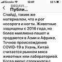 ���� ������, ����, 46 ��� - ��������� 6 ������ 2020 � ������ ������ ��������