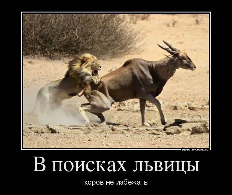  - 12  2020  15:02