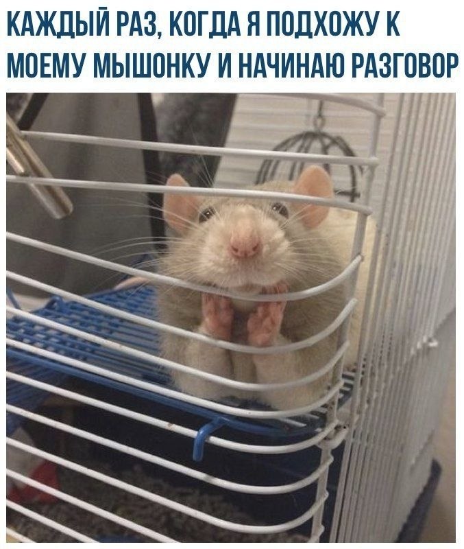 ����� ����� ����������
