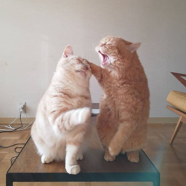 ��������� - ��� ������� ���� - 2