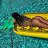 ���� �����, ������, 24 ���� - ��������� 28 ���� 2020
