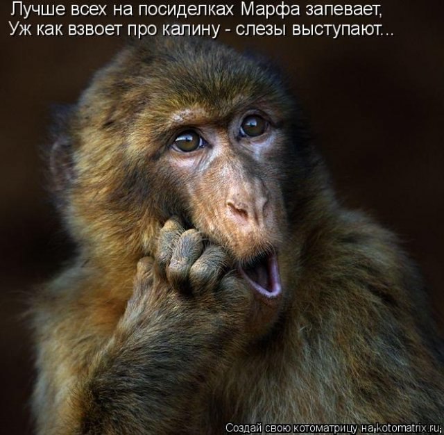 Если вы белая и пушистая - вам пора в солярий и на эпиляцию. *** Единственный врач, который считает, ...