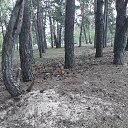 ���� Irishka))), ������ - ��������� 18 ��� 2020 � ������ ����������))))�