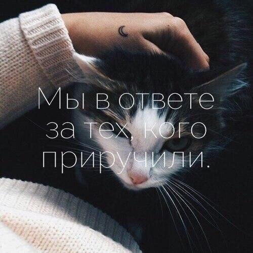 ��� �������� �������� - 22 ����� 2020 � 18:56