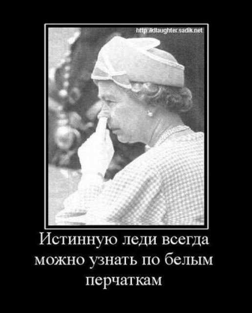 Что? Где? Когда?": сидят шестеро умных, интеллектуально развитых, образованных мужиков в ...