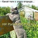 ���� ���������, ������ ���, 65 ��� - ��������� 2 ������� 2020 � ������ ���� ����������