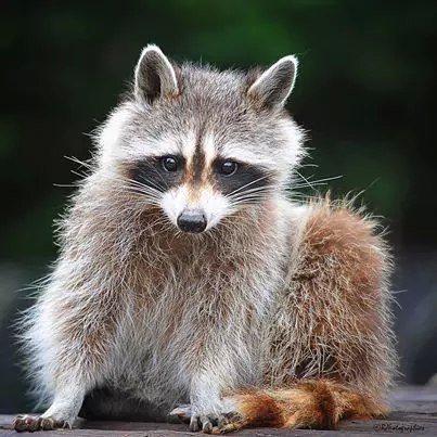 ��� - 20 ������ 2020 � 19:15