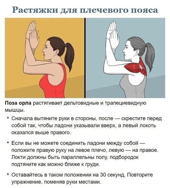      . - 3