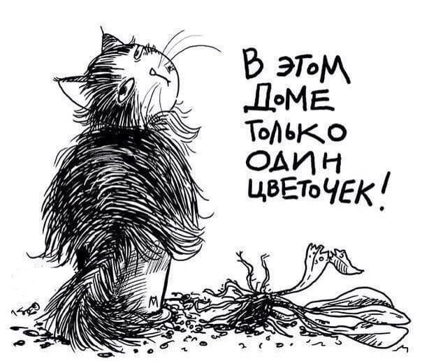 Ситуация. Живёте вы с женщиной. Делаете что хотите. Кричите на неё, когда хотите кушать. Не даёте ей ...