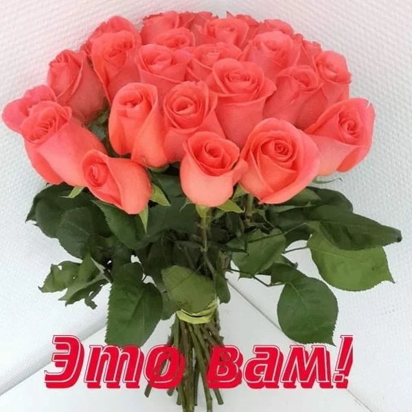   ,    . - 11  2020  16:34 - 7