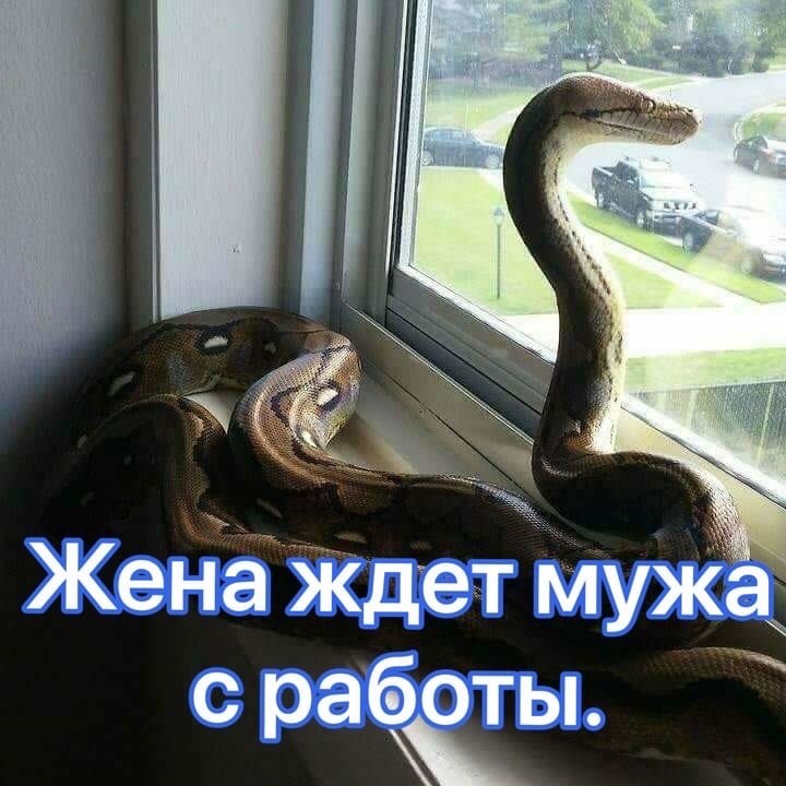   )