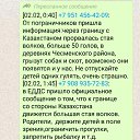 ���� ���������, �����, 51 ��� - ��������� 4 ������� 2020 � ������ ������ ��������