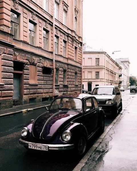 Душа требует весеннего Питера, но надо сидеть дома на карантине! - 2