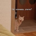 ���� �����, �������, 32 ���� - ��������� 6 ��� 2020 � ������ ���� ����������