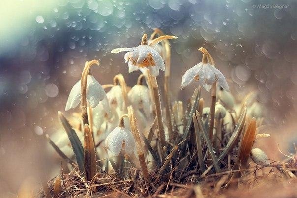 Magda Bognar - 3