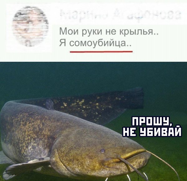 ������ �� ��� :D - 15 ����� 2020 � 18:35