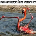 ���� ���������, ������, 46 ��� - ��������� 16 ���� 2020 � ������ ���� ����������
