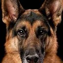 ���� ������, ������ - ��������� 16 ������ 2020 � ������ ������ ��������