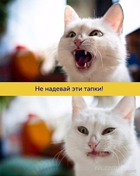 ����, ������ ������� ����� ������ ������������ - 3