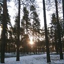  ,  , 63  -  24  2020    