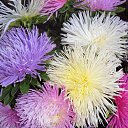 ���� ��������, ������ - ��������� 16 ���� 2020 � ������ ���� ����������