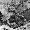  , , 60  -  19  2020      1941-1945 .