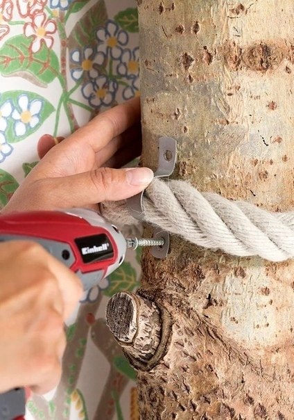 Когда очень любишь своего кота, то и целое дерево можно в квартире поставить) - 5