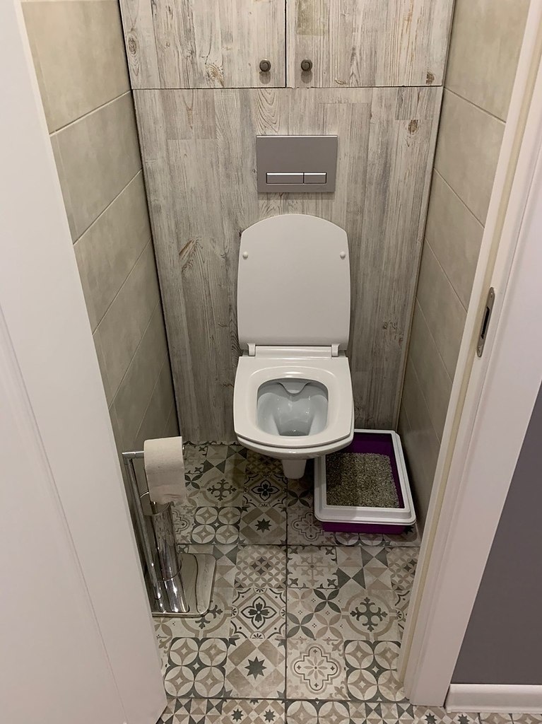 ����� ����-�� ����������) ��� ������� ������� �������, ���� ���������, �� � ����� �� �������� - 7