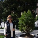 ���� V����, ������� - ��������� 6 ����� 2020 � ������ ���� ����������