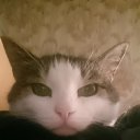 ���� �������, �������, 44 ���� - ��������� 27 ����� 2020 � ������ ���� ����������