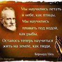 ���� ������, �����-��������� - ��������� 22 ������� 2020 � ������ ������ ��������