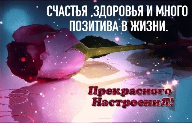   ,    . - 18  2020  20:49 - 2