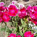  ,  -  3  2020     2020