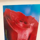 ���� Ir@, ����� - ��������� 28 ����� 2020 � ������ ���� ����������