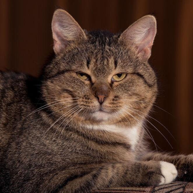 Повышенной щёчности пост - 5