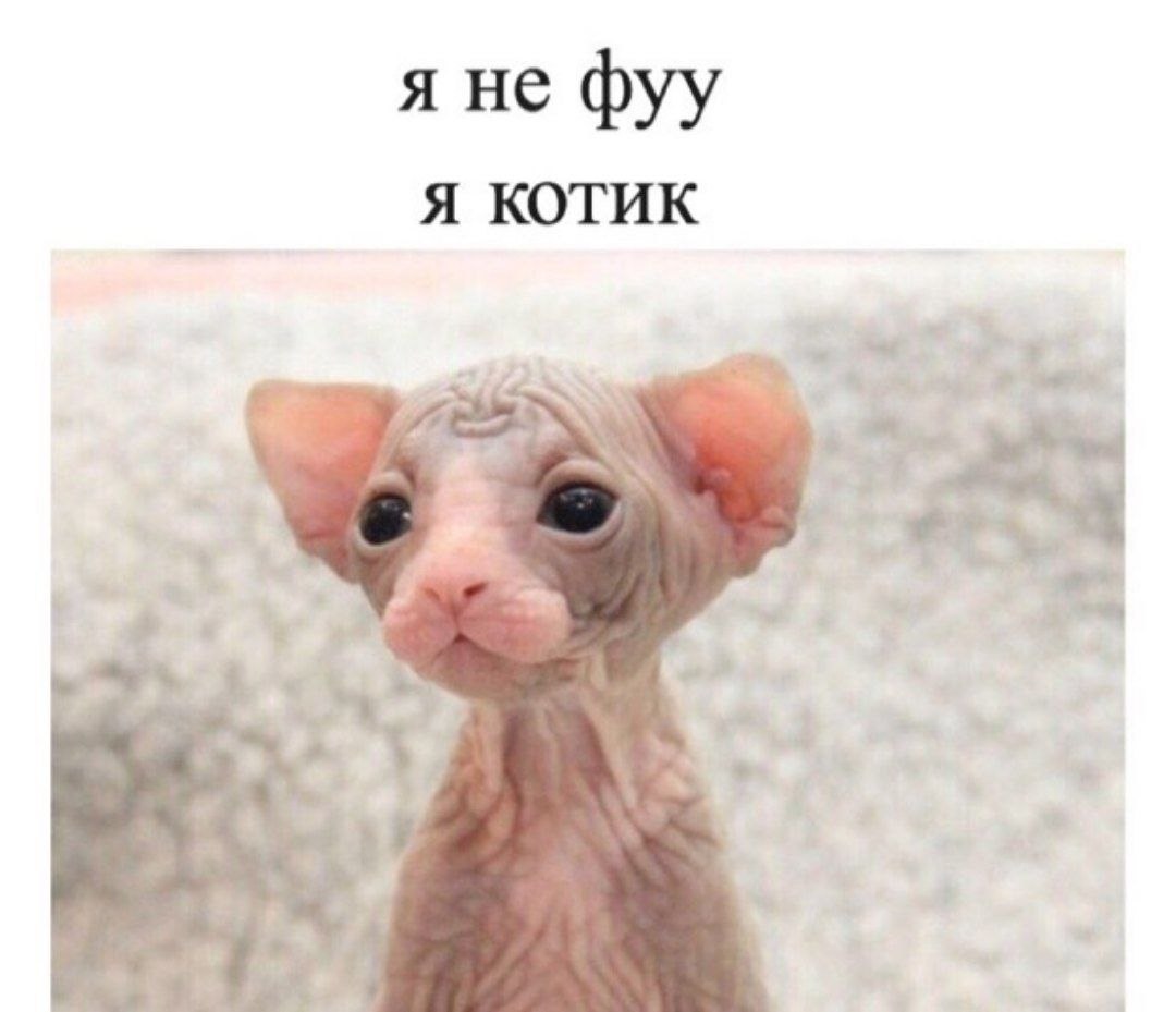  - 1  2020  19:10