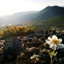 ���� ����, ������� ��������, 54 ���� - ��������� 18 ������ 2020 � ������ ���� ����������