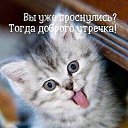 ���� ���������, ������ - ��������� 16 ��� 2020 � ������ ���� ����������