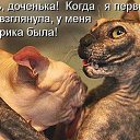 ���� �������, ������ - ��������� 29 ����� 2020 � ������ ������ ��������