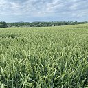 ���� �������, �����, 64 ���� - ��������� 6 ���� 2020 � ������ ������ ��������