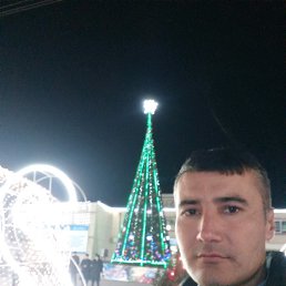 ������, ������, 41 ���