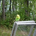 ���� ����, �����������, 63 ���� - ��������� 12 ���� 2020 � ������ ���� ����������